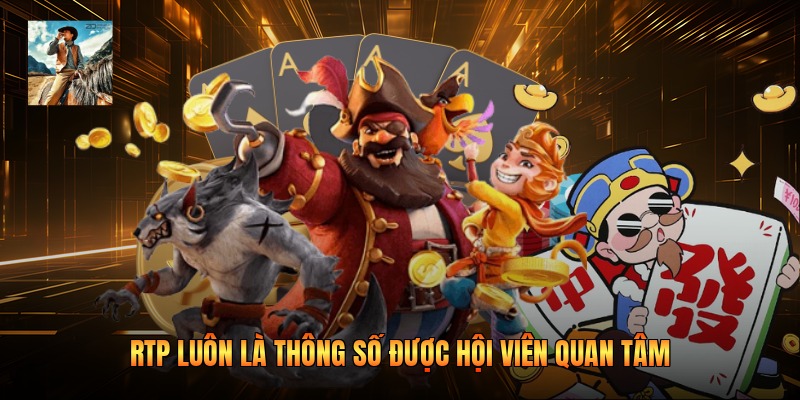 RTP luôn là thông số được hội viên quan tâm