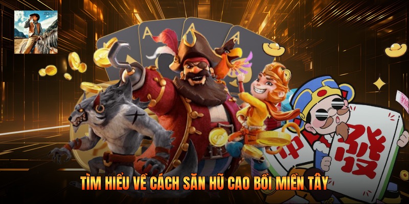 Tìm hiểu về cách săn hũ cao bồi miền tây